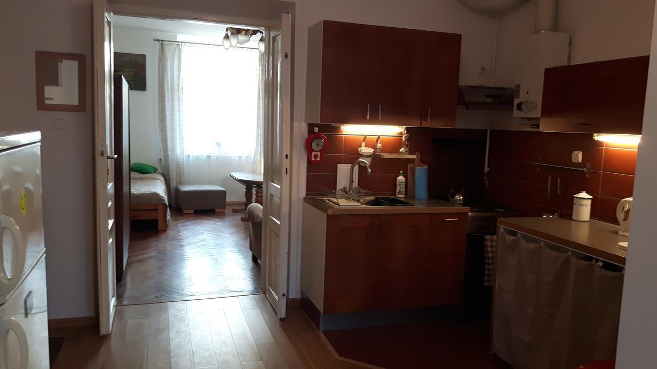 Debniki Ice Apartment Krakau